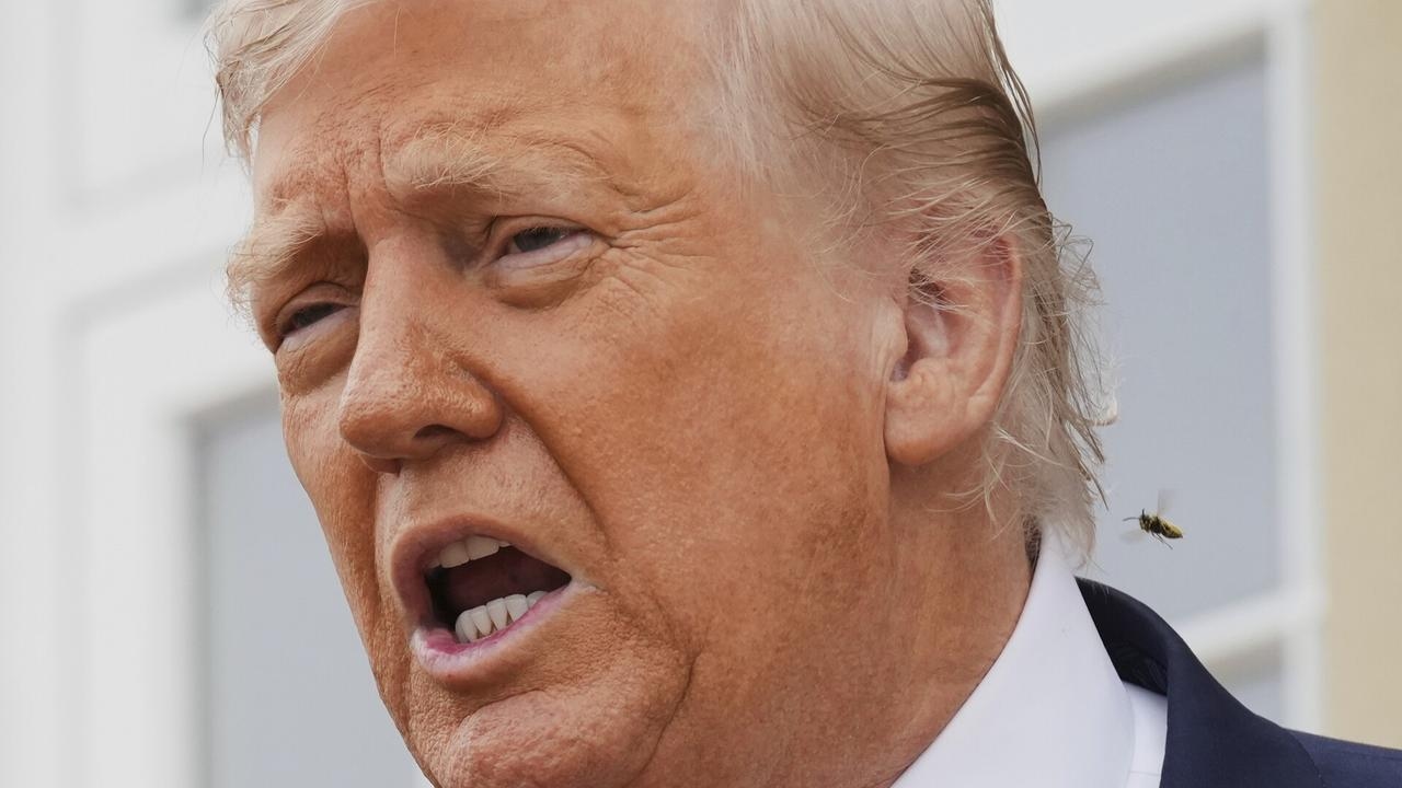 Trump's handling of Epstein files could ‘tear apart' MAGA movement