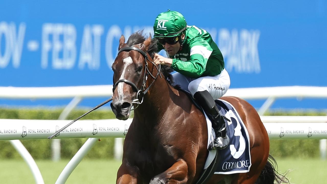 Trainer Allan Kehoe aiming high with exciting youngster Shaggy in the spring