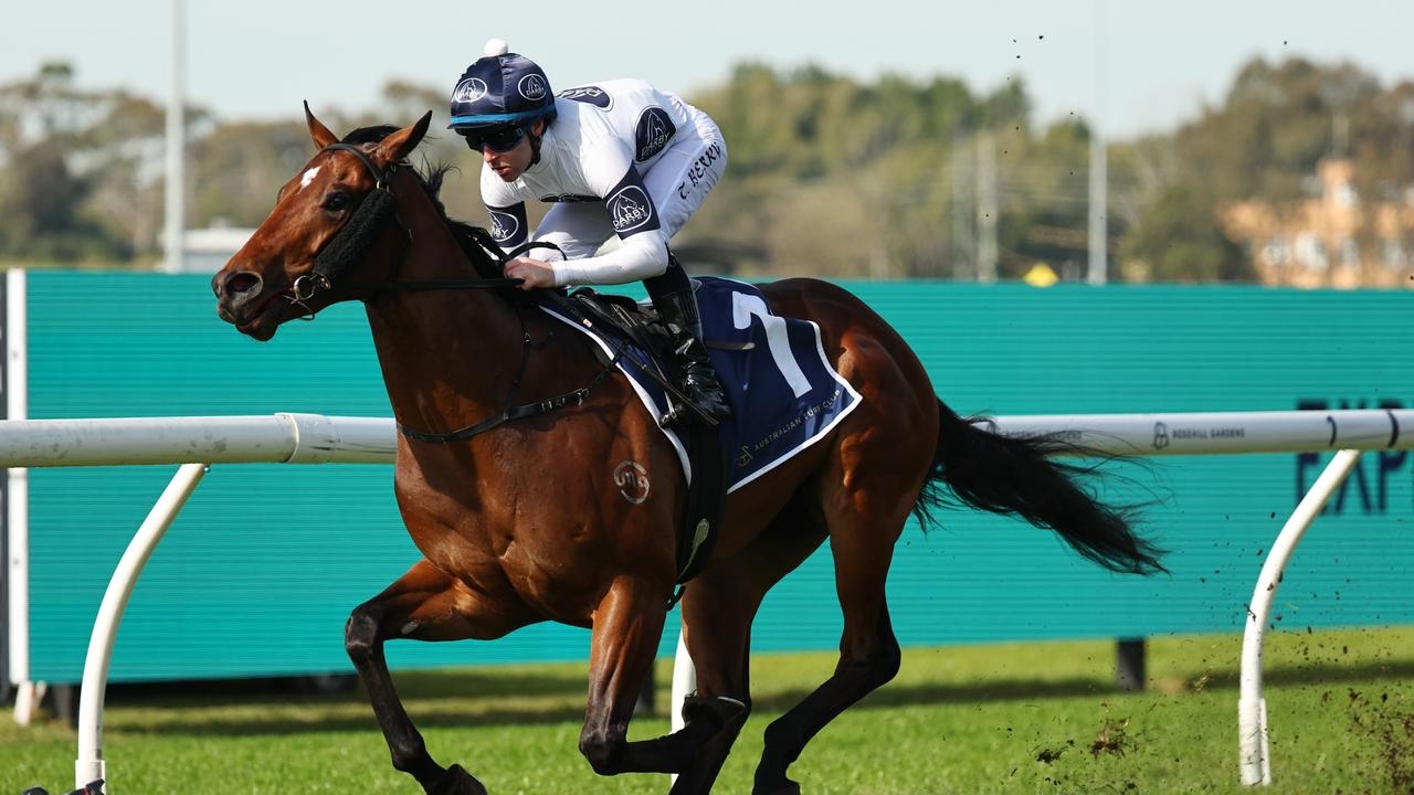 Mitch Cohen's Blackbook: Five to follow from Winter Stakes day