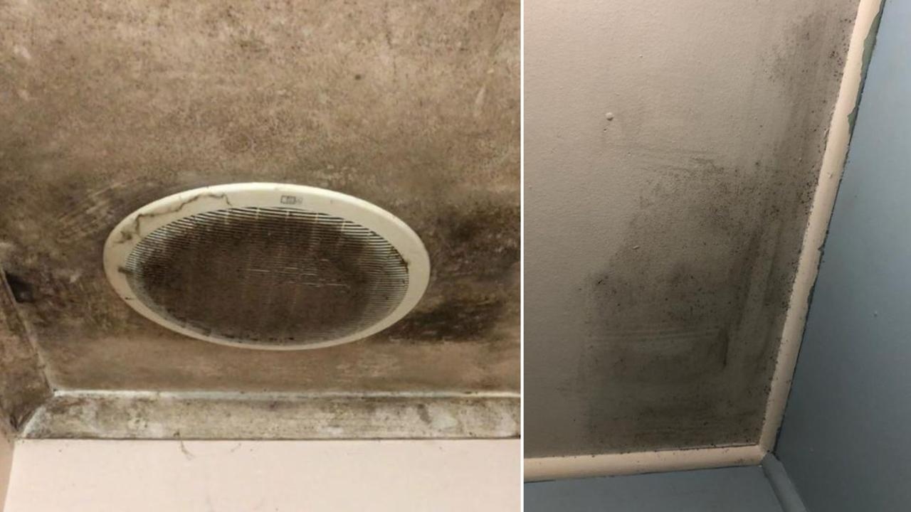 Reality of renting in Australia: Roaches, mould, fear of eviction and rent hikes
