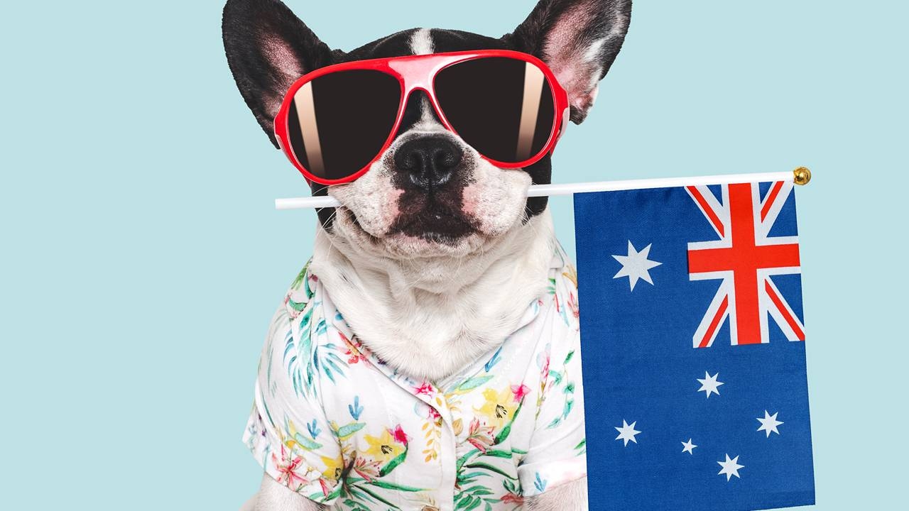 Closing Bell: ASX plays it cool in the face of tariff threats