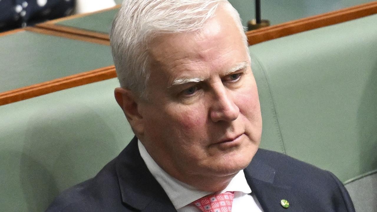 Energy Minister Chris Bowen says Barnaby Joyce and Michael McCormack's net zero protest a ‘dream ticket' to turf David Littleproud
