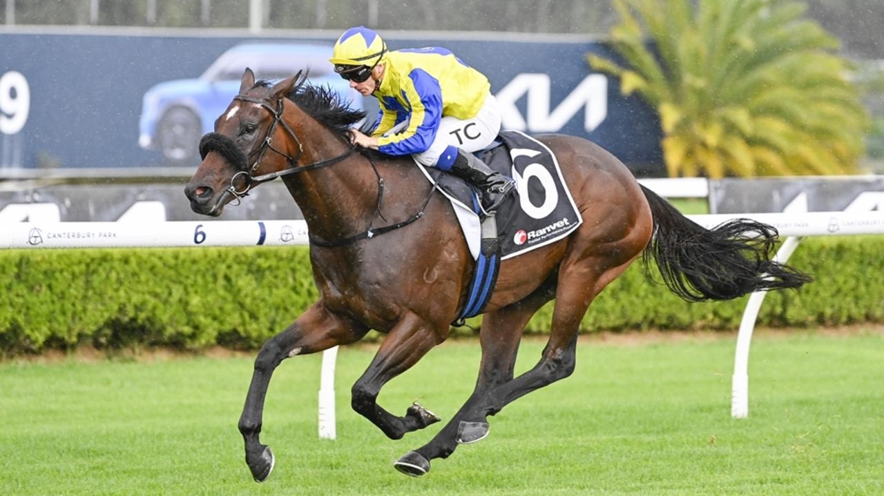 Canterbury preview: Matthew Dale's calculated approach with track specialist No Drama to pay dividends