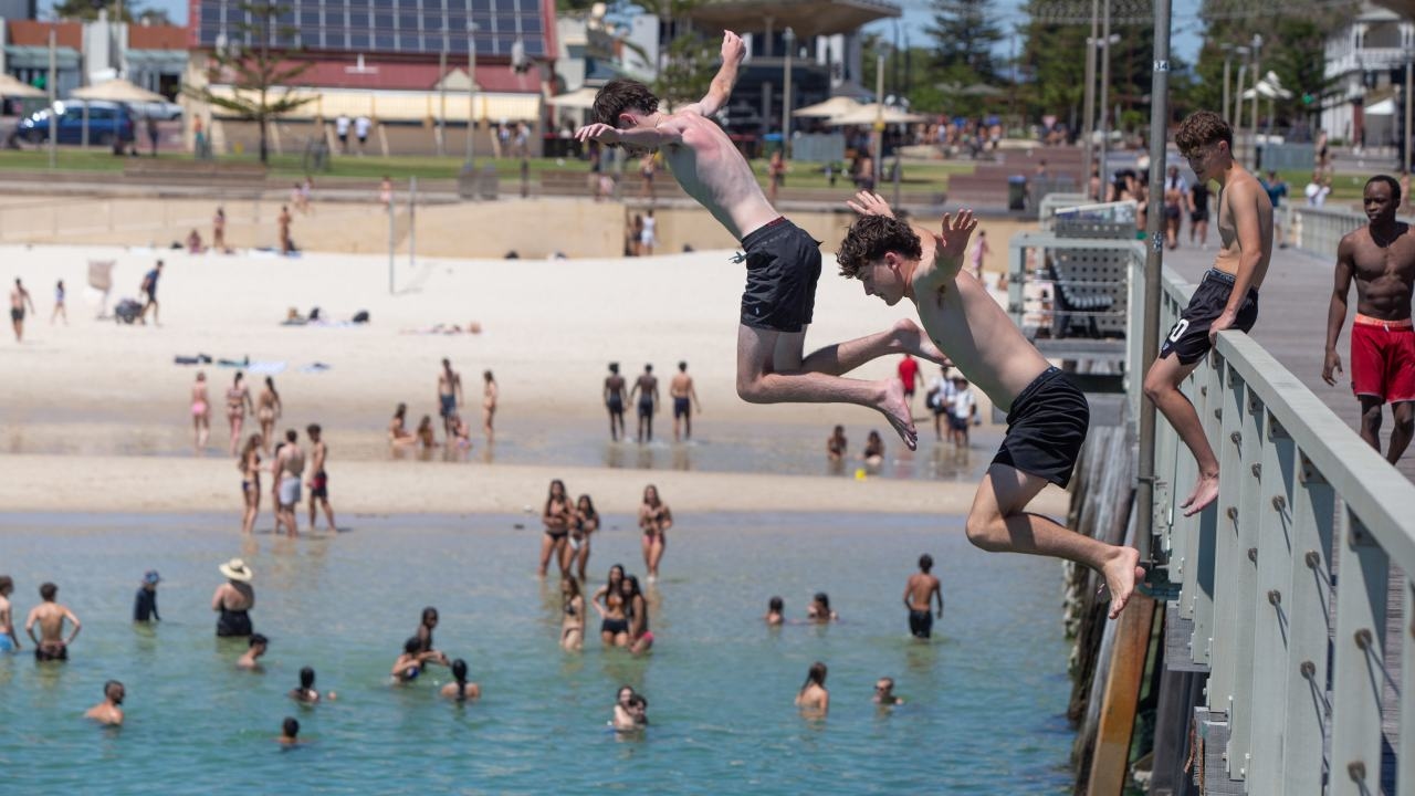 Sky News Weather breaks down South Australia's marine crisis, as harmful algal bloom changes course and moves towards Adelaide beaches