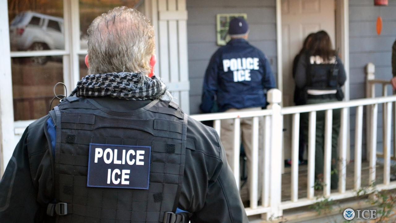 ‘They were taking our jobs': US employment skyrockets as ICE crackdown continues