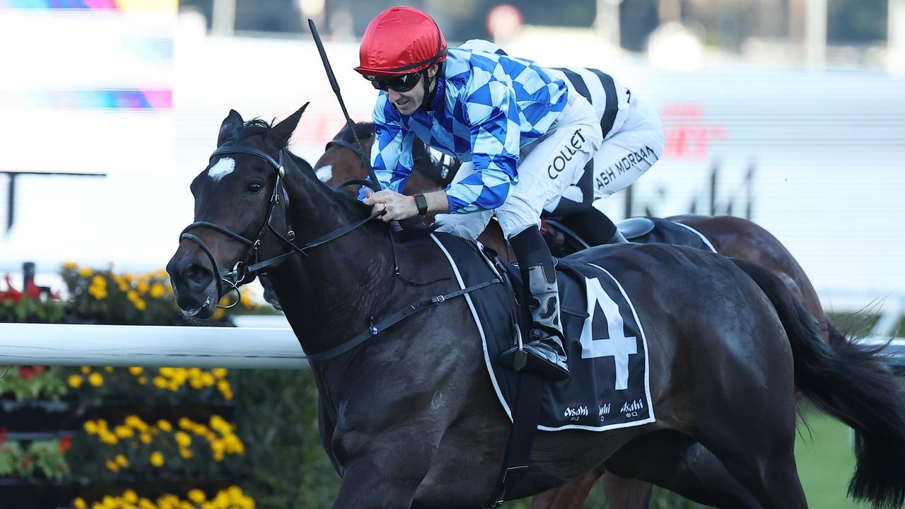 David Pfieffer opts for Randwick instead of Big Dance qualifier with Oh Diamond Lil