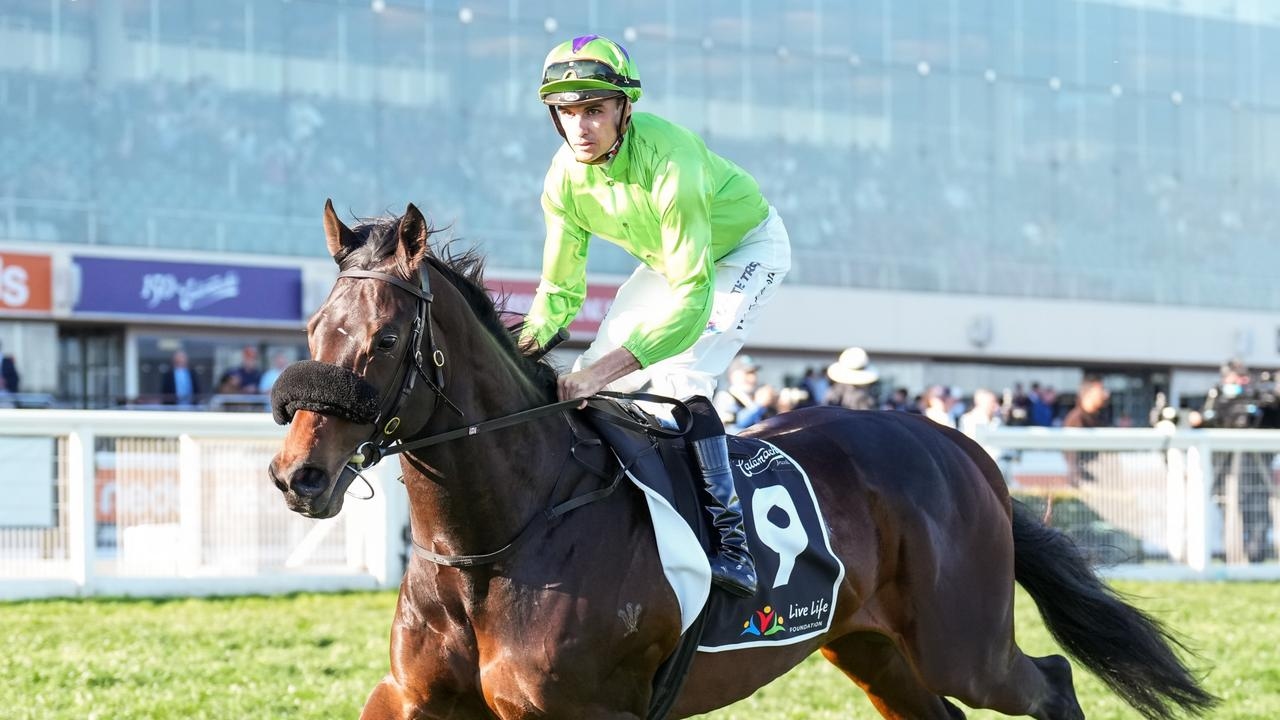 Liam Howley aiming stayer Virtuous Circle at Saturday's Deane Lester Flemington Cup