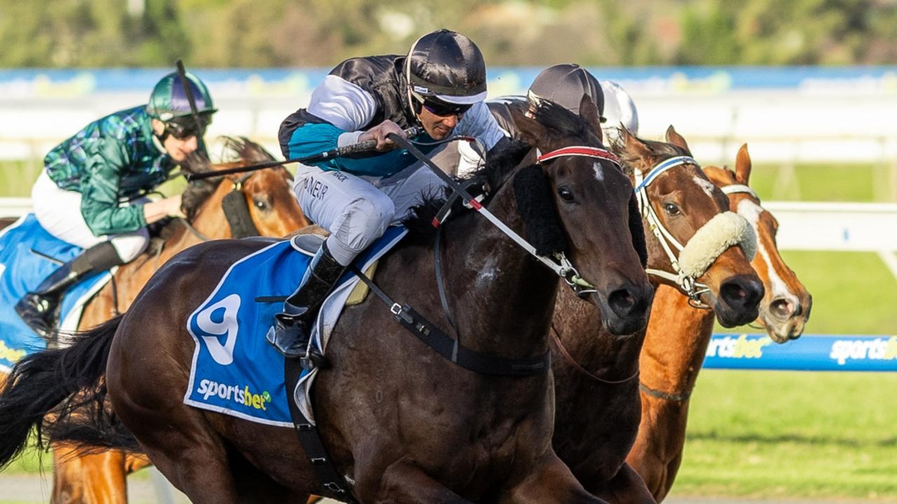 Lingani in great shape ahead of Sir John Monash Stakes after overcoming autumn injury
