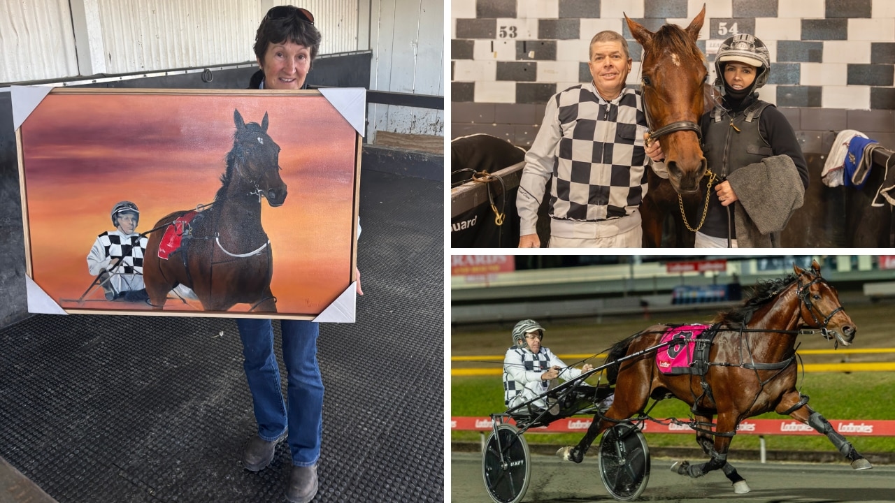 Work of art: Champion pacer Leap To Fame proving an inspiration ahead of his date with Inter Dominion destiny
