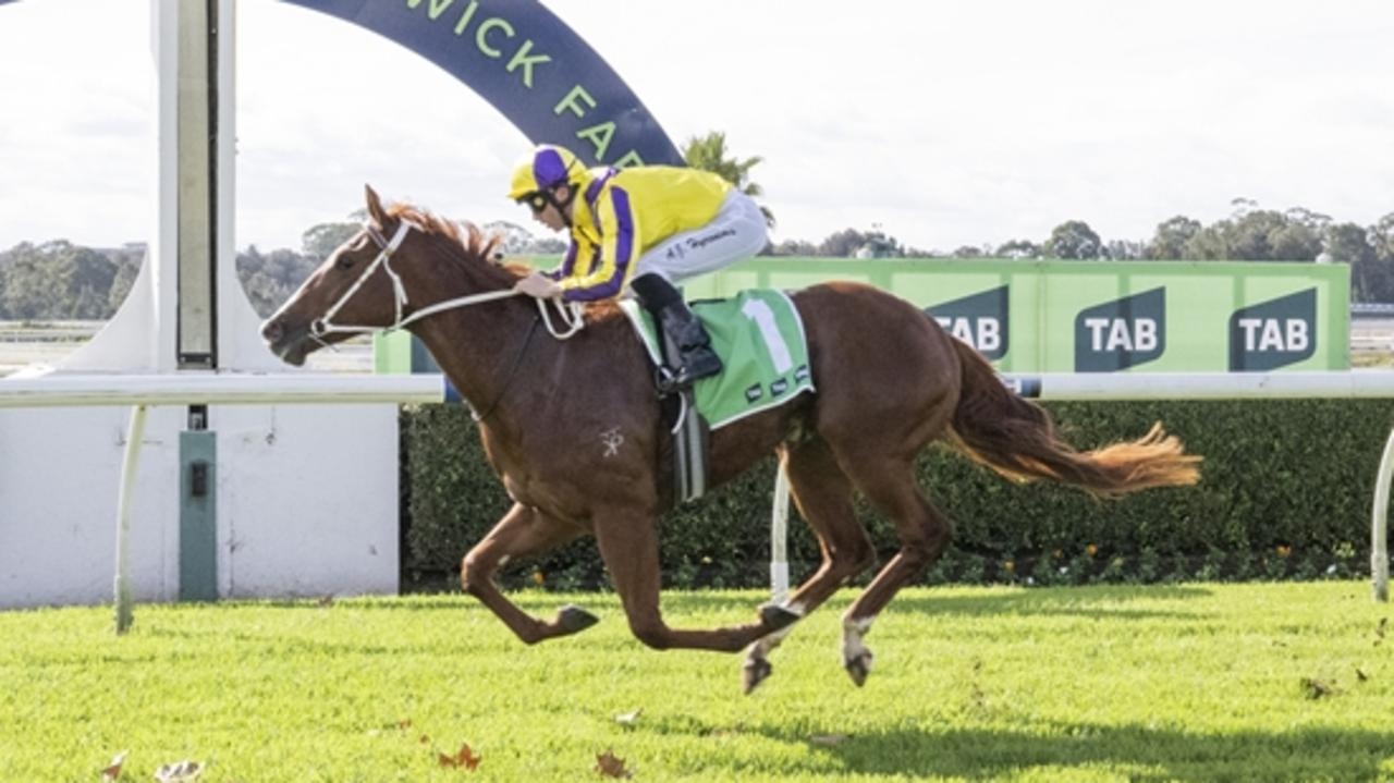 Bargain-basement buy Penpel defeats $3 million filly Ernaux at Warwick Farm