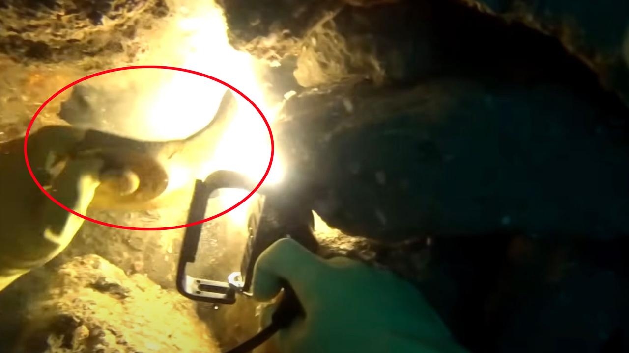 Shipwreck mystery solved after nearly 140 years