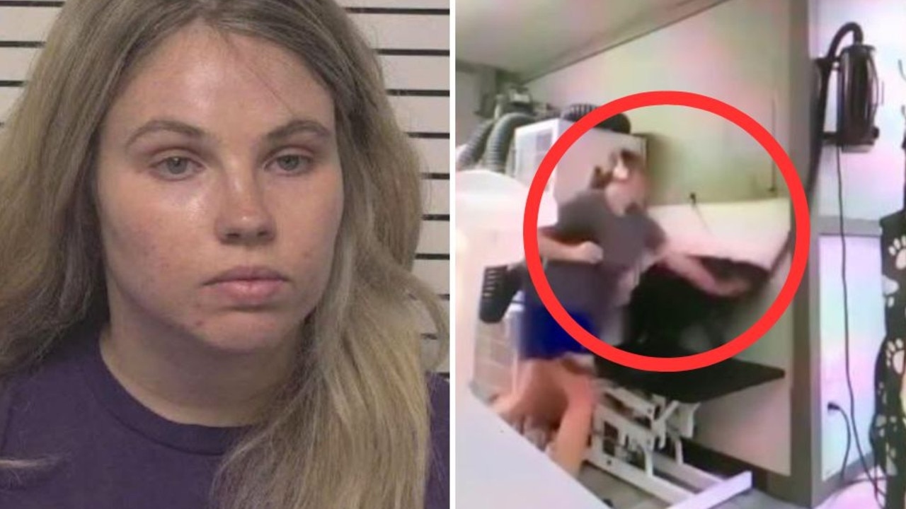 Dog groomer caught on video doing the unthinkable