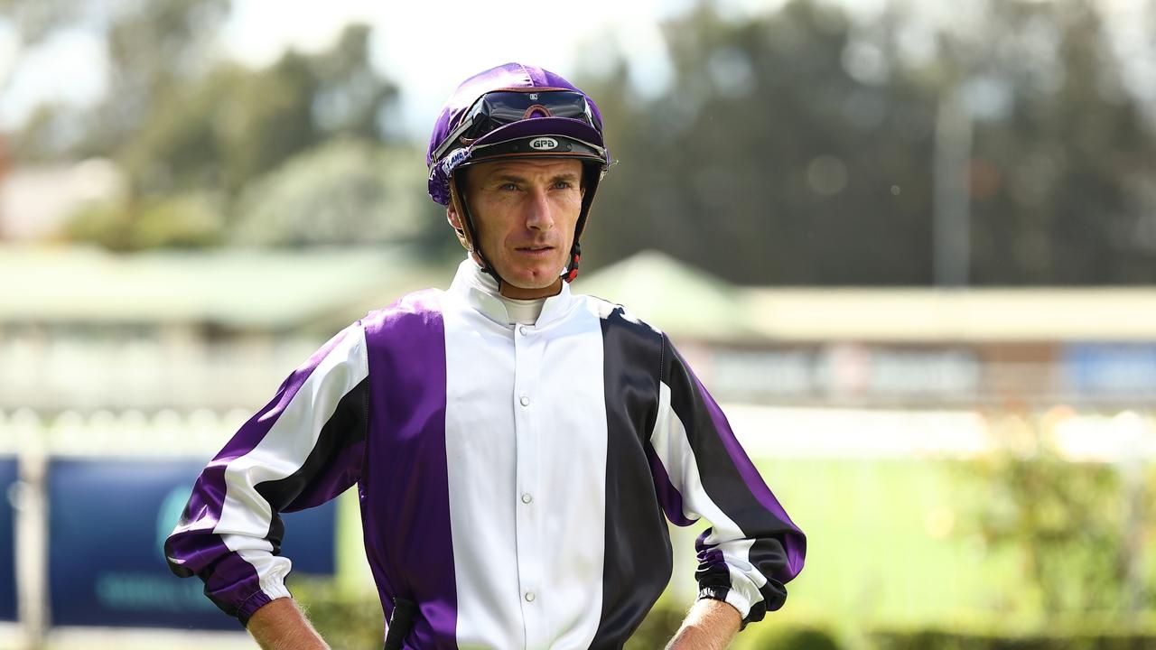 Taree preview: ‘Big Red' is in the black