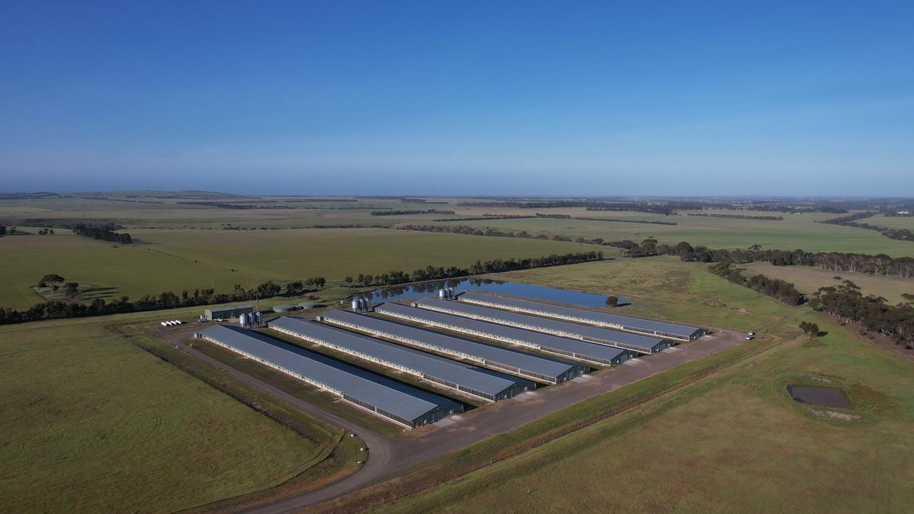 Somerset Poultry at Murgheboluc sold for millions to ProTen