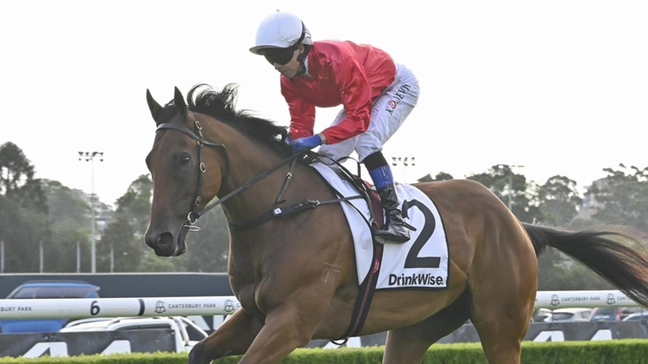 Signor Tortoni chasing third straight win at Royal Randwick