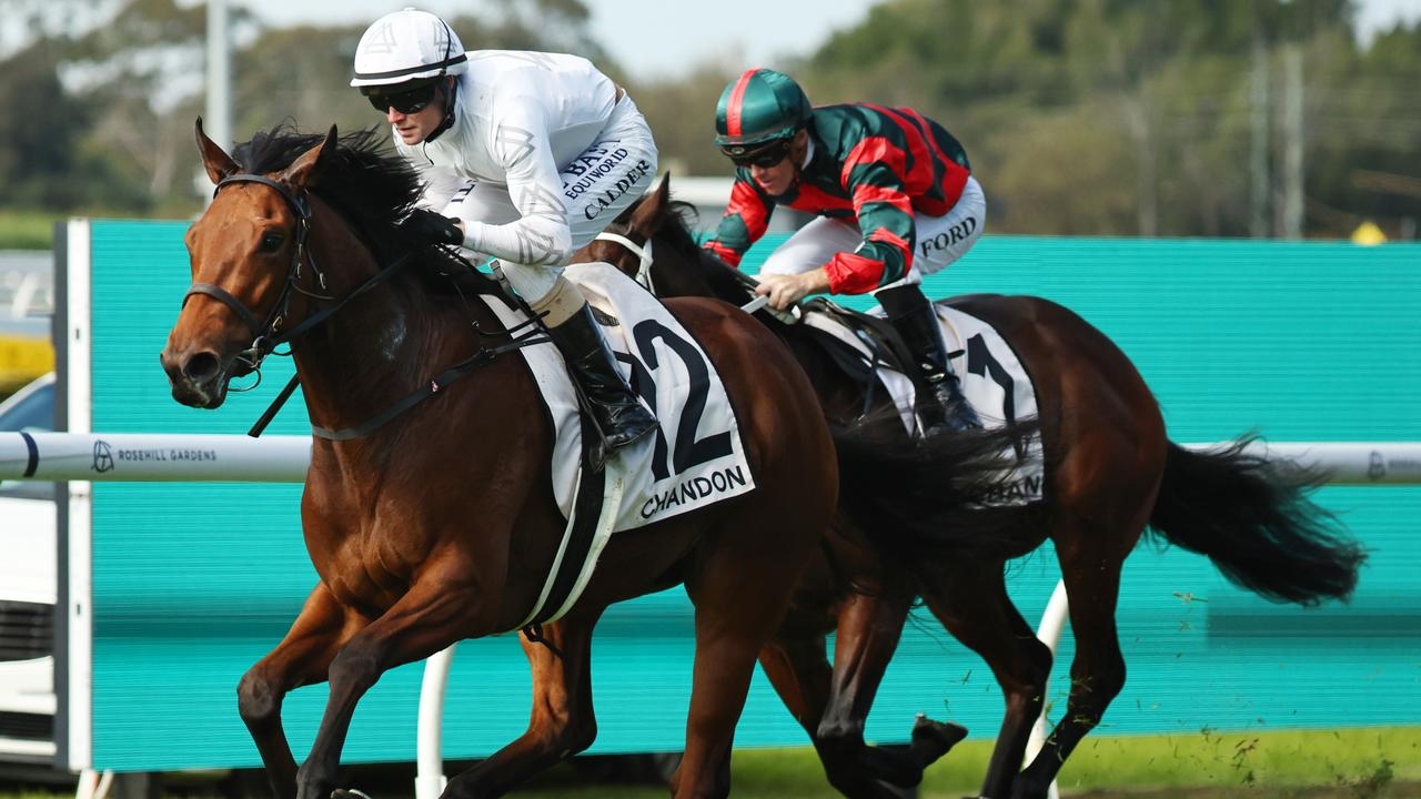 After the disappointment of Kimochi's injury, Gary Portelli's Queen Of Clubs delivers a stunning victory at Rosehill