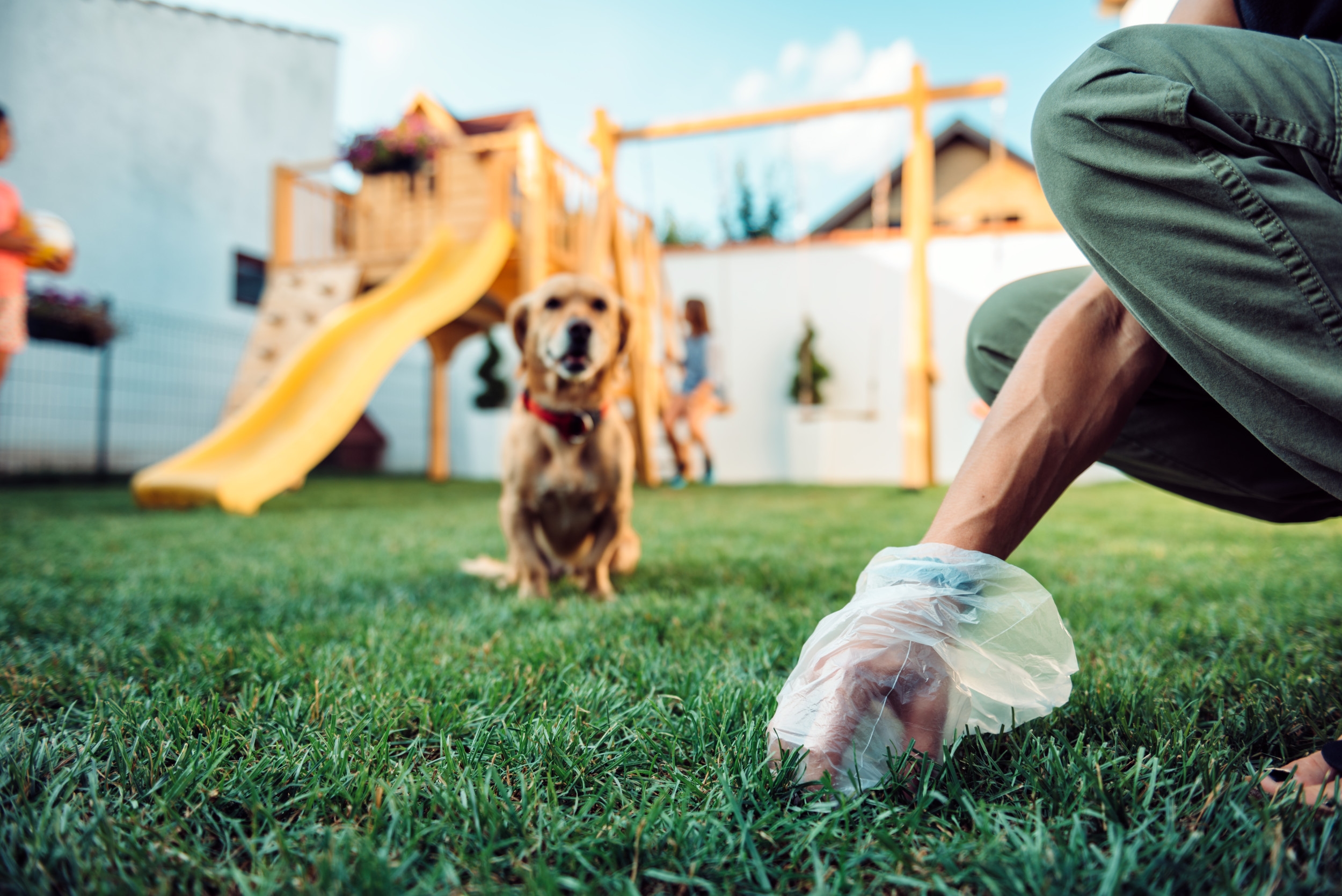 Homeowner's Solution to Neighbor's Dog Using Their Lawn as Toilet Applauded