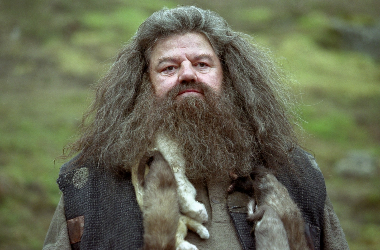 'Harry Potter' Reboot Reveals First Look at Hagrid