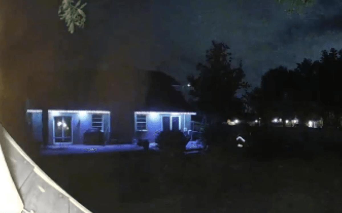 Man Woken at 3AM As 'Motion Detected' by Backyard Cam—Shock at What He Sees
