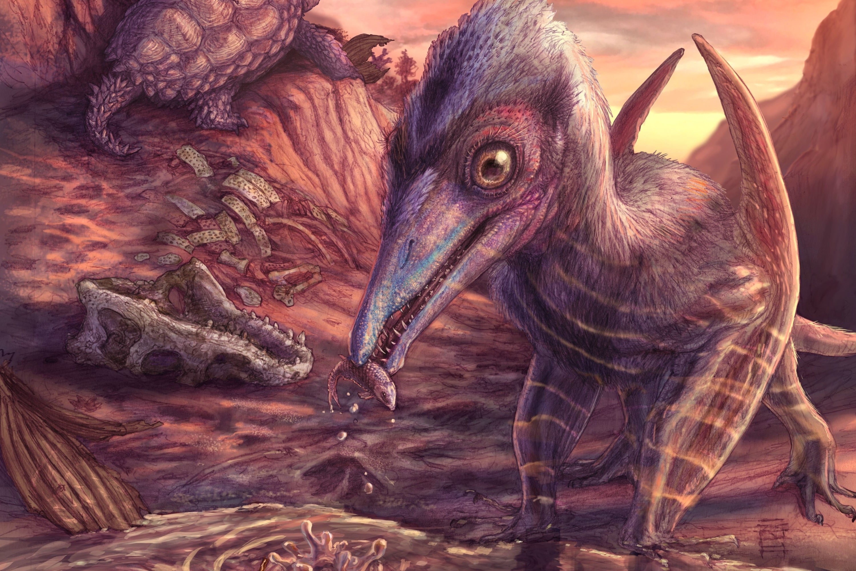 Paleontologists Discover One of North America's Earliest Flying Reptiles
