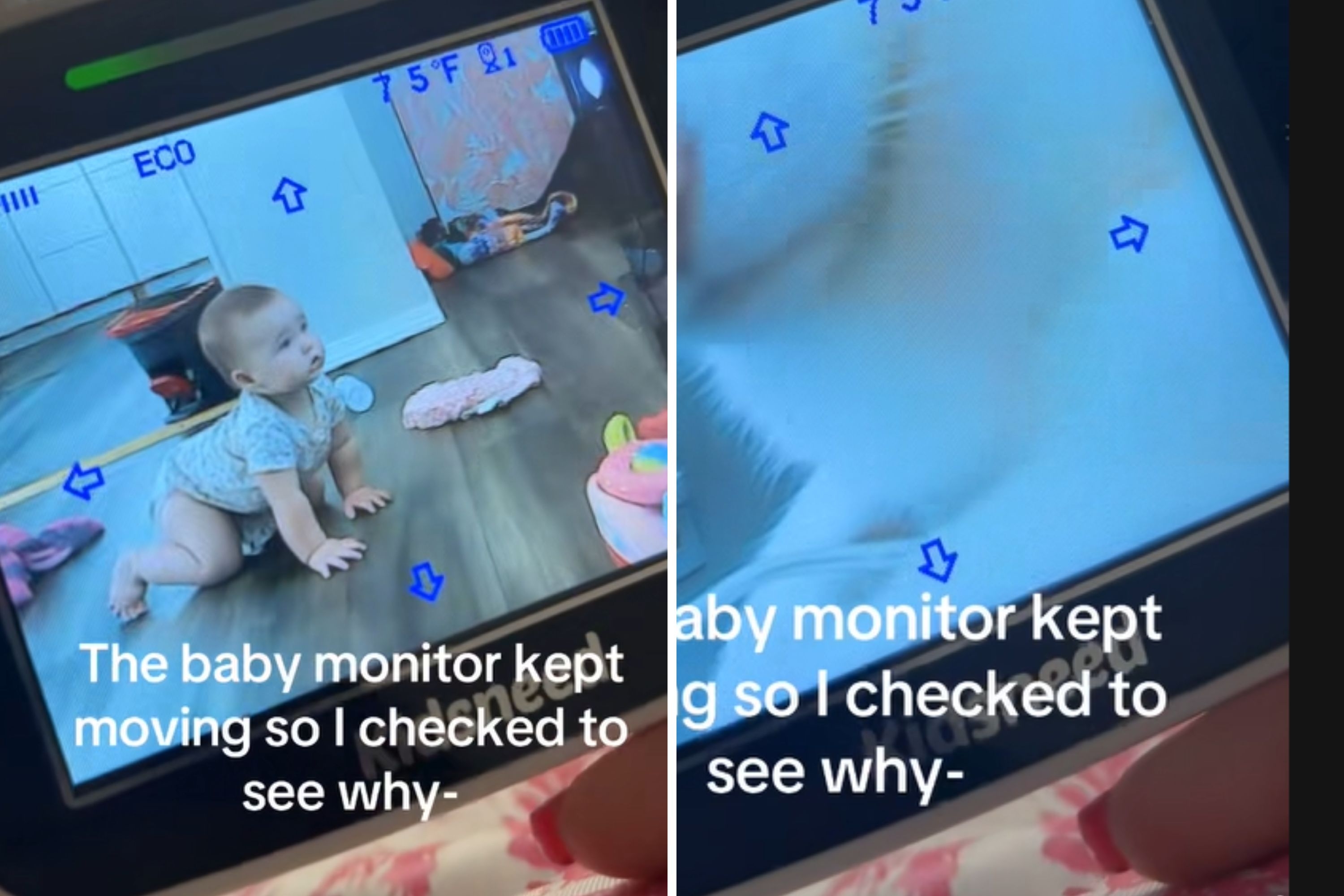 Mom Checks Baby Cam and Sees It Keeps Moving—Then Discovers the Reason