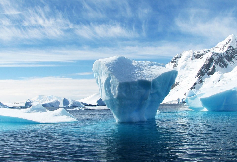 Antarctica's Disappearing Ice Is a Red Alert for Wildlife — and Us; Here's Why!