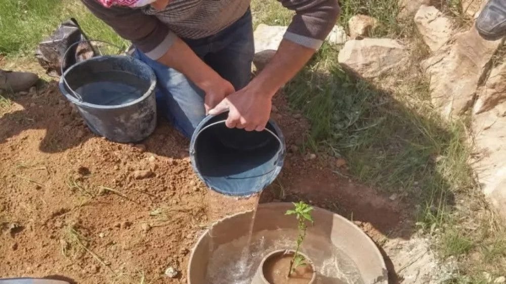 اتفاقية لتوريد 300 ألف (شرنقة) لدعم الزراعة المستدامة في الأردن