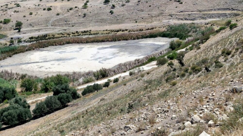 خبير يدعو لإنقاذ الحيوانات البرية ونقلها من بركة العرايس إلى السدود