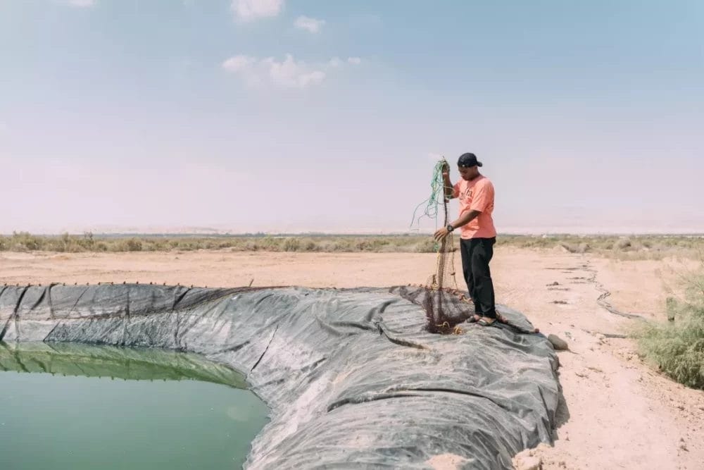 إطلاق أول برنامج إرشادي في مجال الاستزراع السمكي في جرش