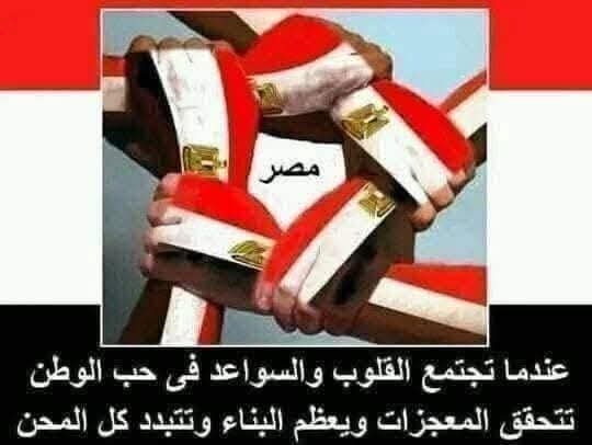 ذكرى سقوط أعداء الوطن 3يوليو