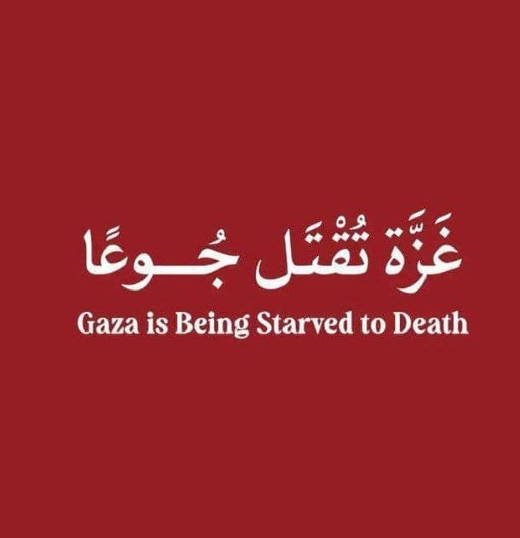 غزة تموت جوعا بقلمي: هدى عبده
