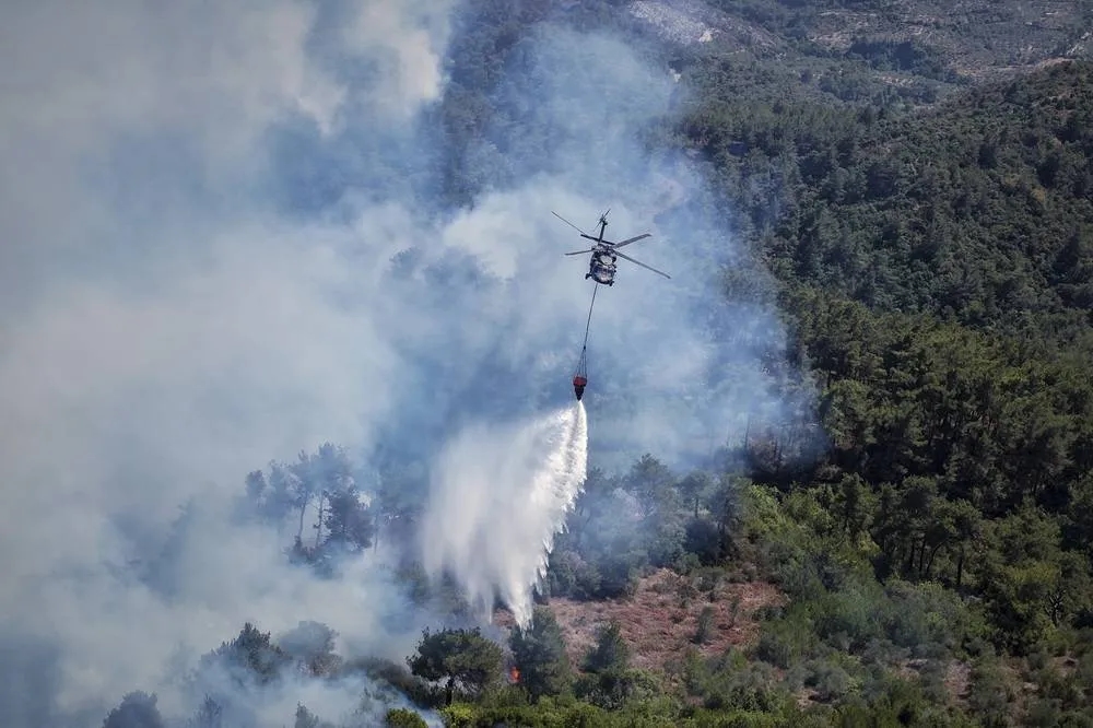 Syrian Wildfires Spread Due to Heavy Winds and War Remnants