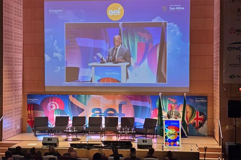 Africa Energy Forum 2025 opens with urgent calls for united action on power access - Energy