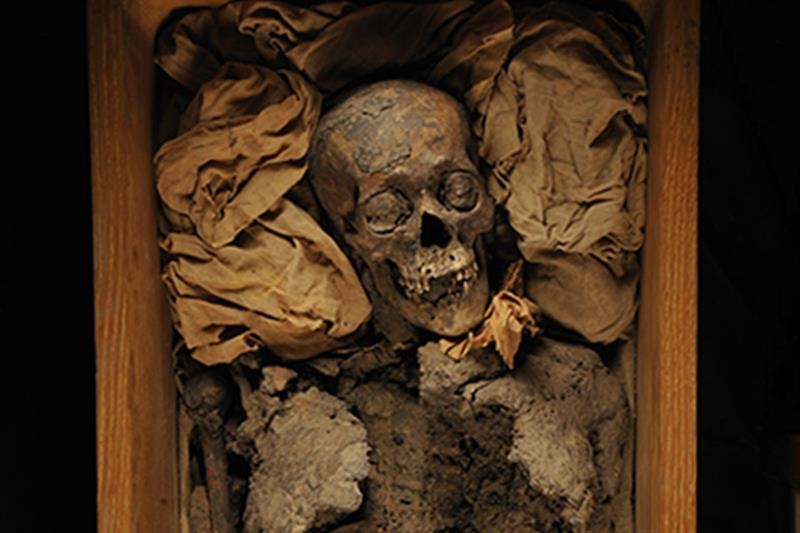 The legacy of Tutankhamun — III - Heritage - Al-Ahram Weekly