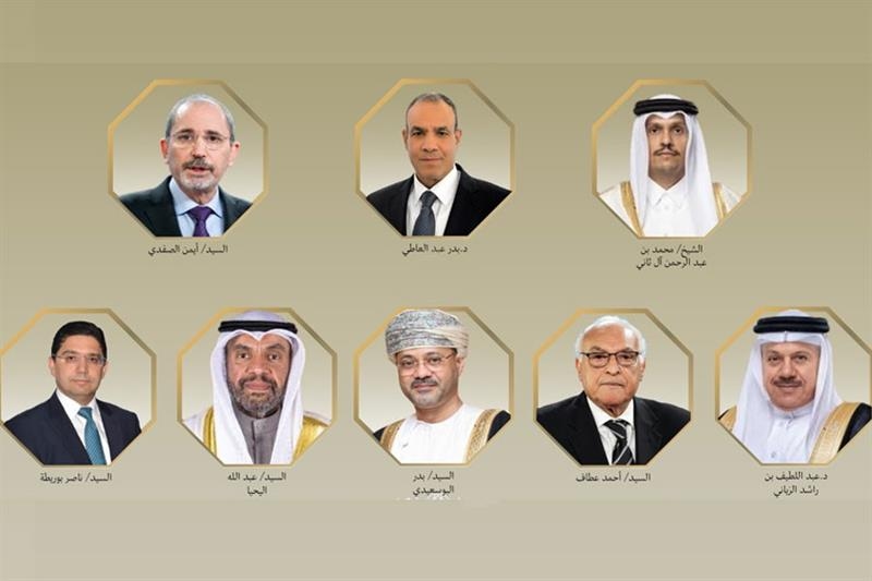Egypt FM, Arab counterparts discuss securing Gaza ceasefire, humanitarian aid delivery - Foreign Affairs