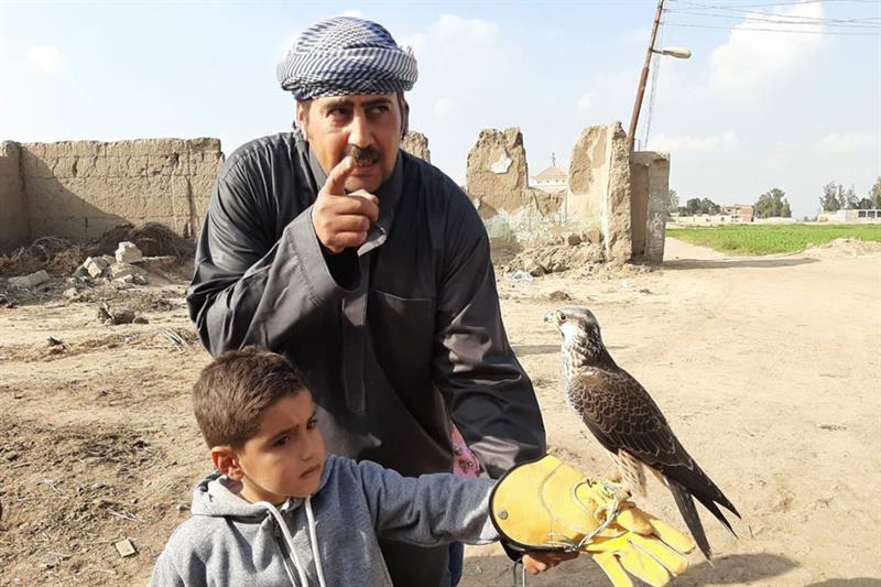 Pros and cons of falconry - Focus - Al-Ahram Weekly
