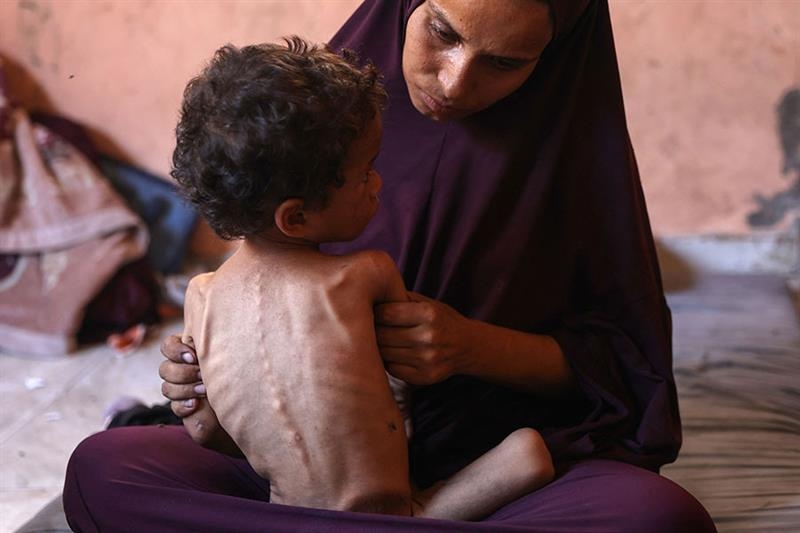 166 trucks loaded with humanitarian aid entered Gaza overnight - War on Gaza