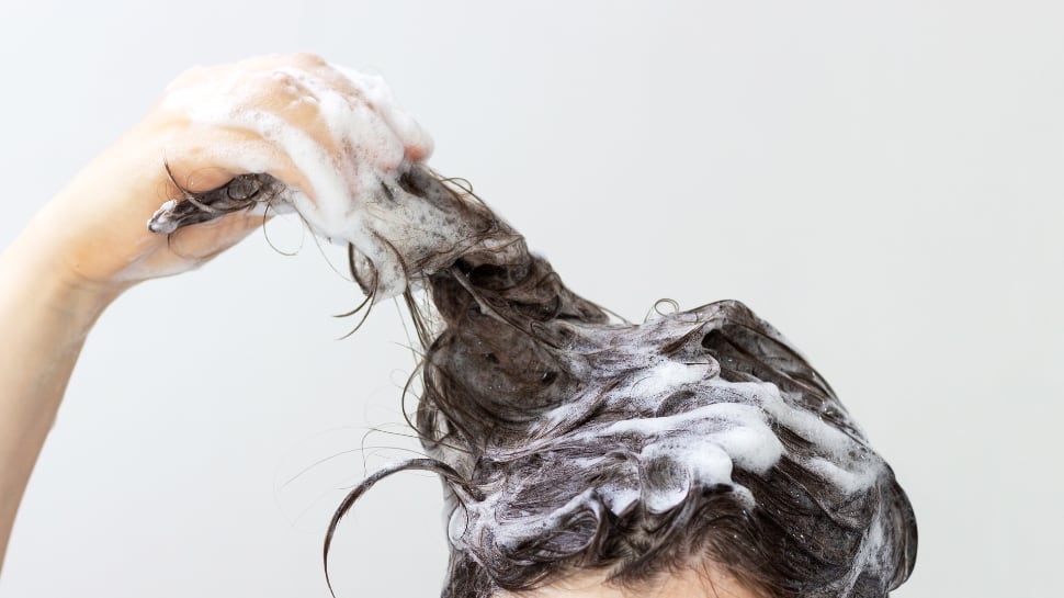 Clean Slate: The Best Shampoos for Every Hair Type