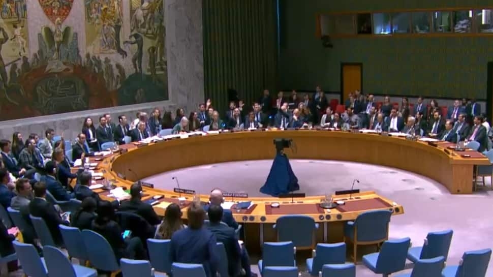Pakistan Blocking Appointment Of Chairs Of UN Security Council Committees Dealing With Terrorism