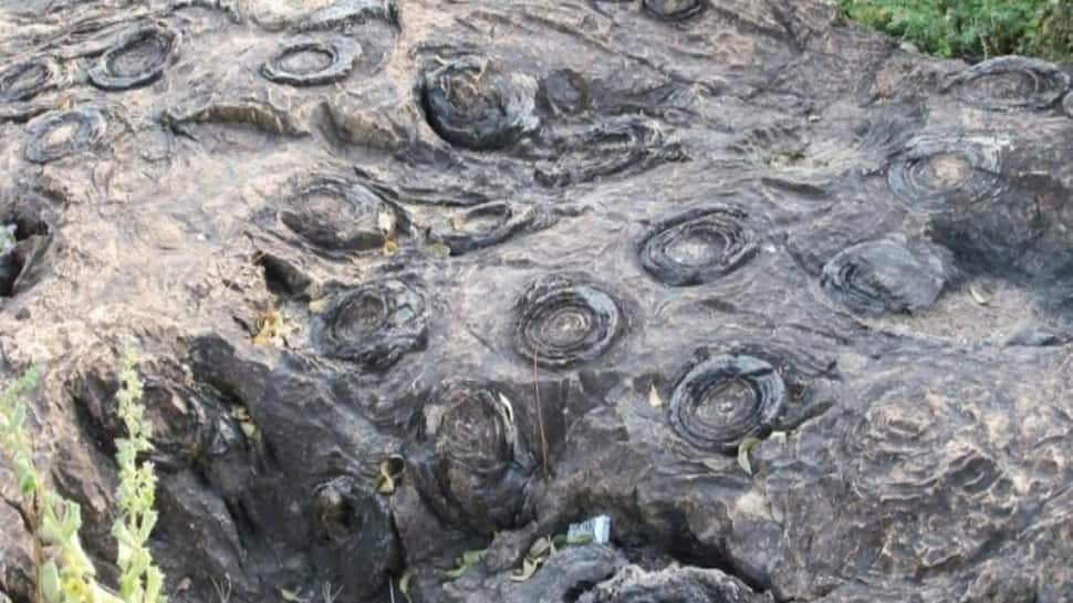 UP's Salkhan Fossils Park Joins UNESCO's Tentative World Heritage List