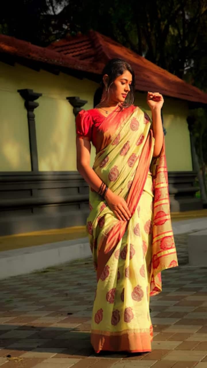 Ethnic Vibes, Modern Feels – Explore the Best Sarees Online