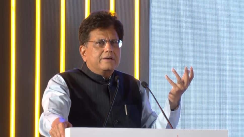 On Trade Deal With US, Piyush Goyals Indias Interest Remark Amid Timeline Concern