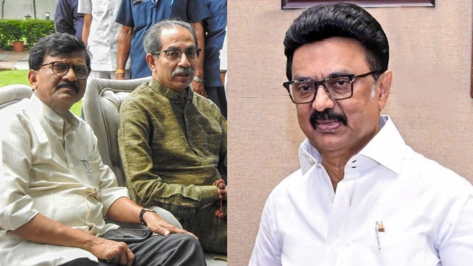 Uddhav Sena Clarifies Stance: Not Anti-Hindi; Distances Itself From Stalins Stance On Language Policy