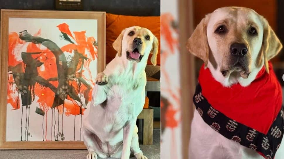 Meet Painting Pup: This Labrador Not Only Barks But Also Paints To Raise Funds For Stray Dogs, Earns Rs...