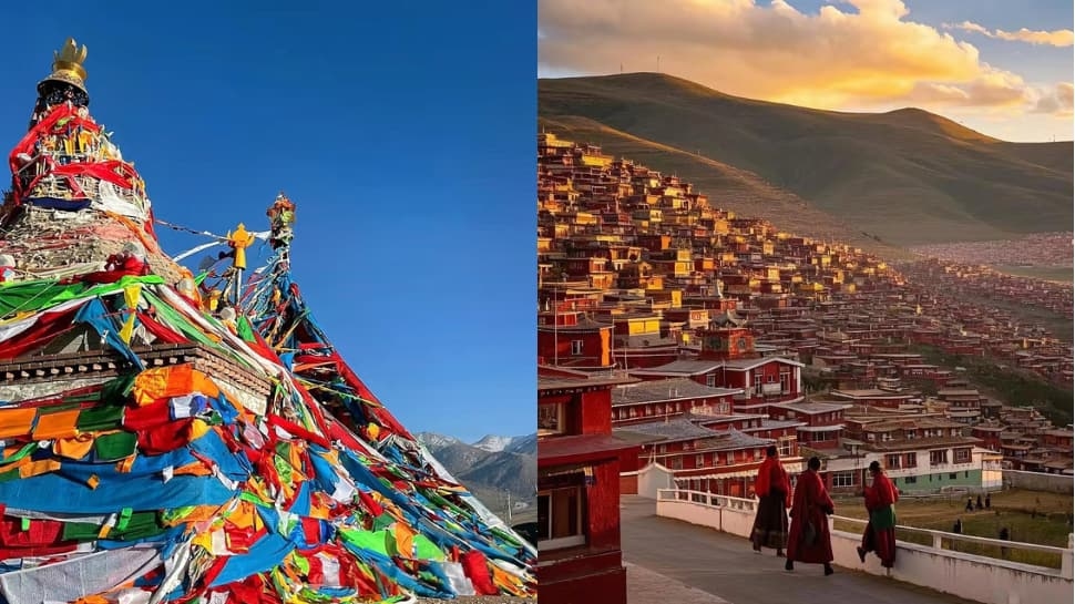 Tibet-Related Issue Thorn In India-China Relations? Ahead Of EAM Jaishankars First Visit In Five Years, Beijing Says…