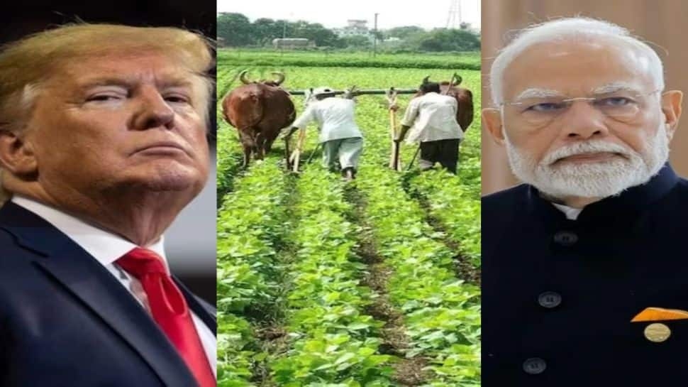India-US Trade Deal: Aug 1 Deadline Nears... Will The Deal Be Sealed In Time? Piyush Goyal Shares Major Update