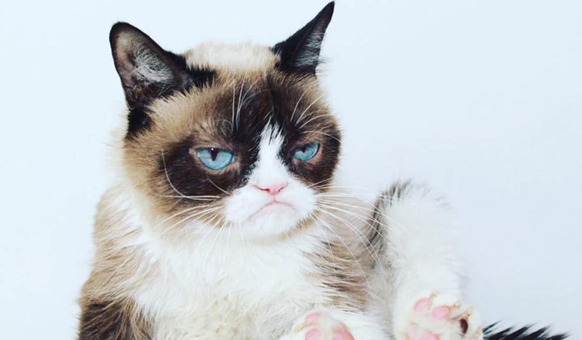 Maybe we like the misery - The enduring popularity of the 'miserable git'