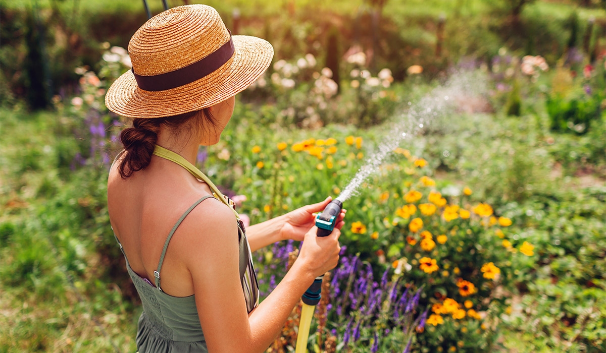 Hosepipe ban for seven counties amid 'drier than normal' conditions