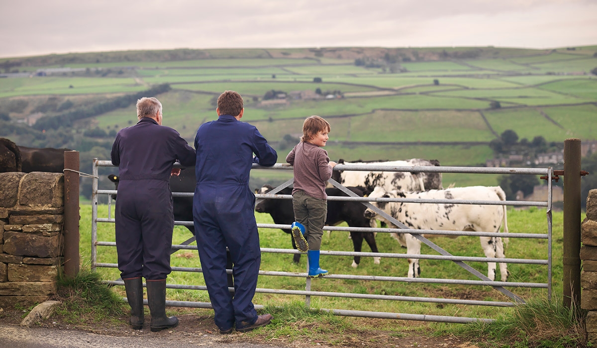 Furious farmers back EU-wide ban on plant-based products 'hijacking' meat terminology