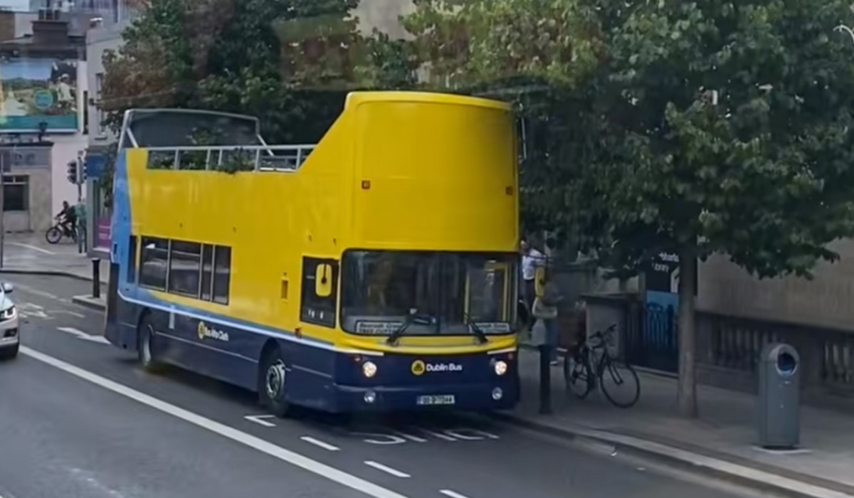 Commuters stunned as old Dublin Bus gets side hustle in tree maintenance